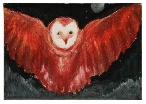 Midnight Owl